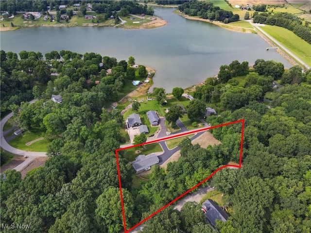 47688 Tomahawk Dr, Negley, OH 44441 - aerial overview of property's location with a nearby body of water and property boundaries highlighted