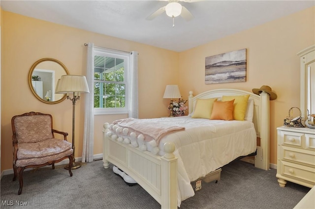 47688 Tomahawk Dr, Negley, OH 44441 - bedroom with carpet floors and ceiling fan