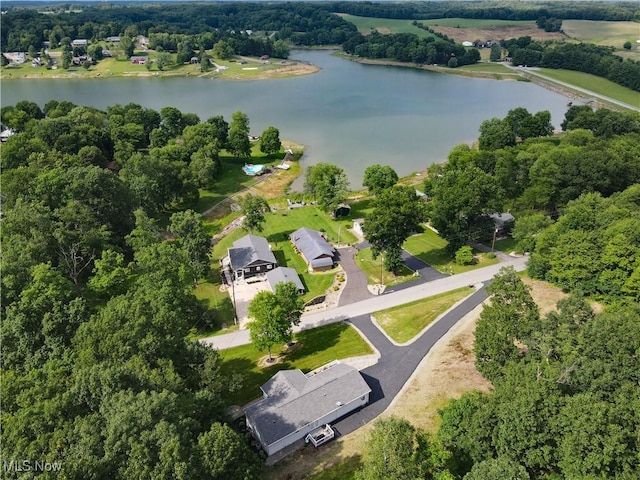 47688 Tomahawk Dr, Negley, OH 44441 - aerial overview of property's location with a large body of water