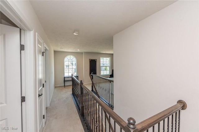 36605 Barkhurst Mill Dr, North Ridgeville, OH 44039 - photo 22
