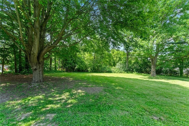 70 Maple St, Canfield, OH 44406 - view of grassy yard