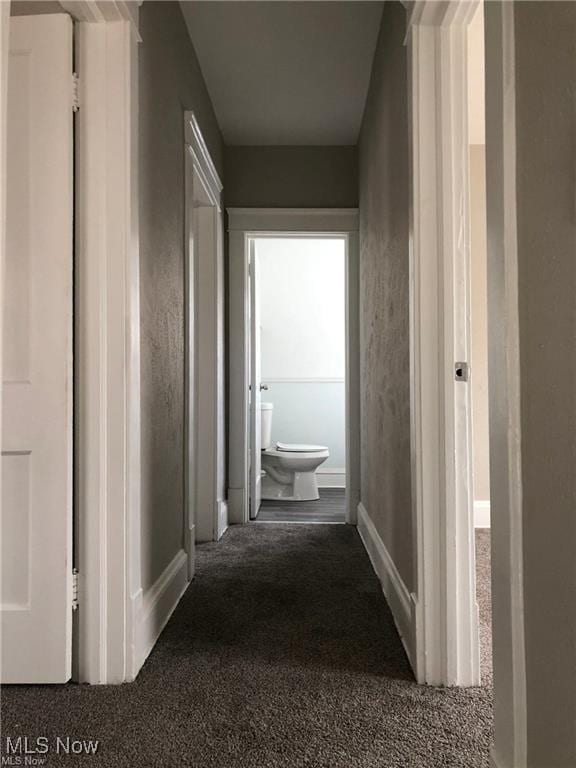 3390 E 135th St, Cleveland, OH 44120 - corridor with carpet and baseboards