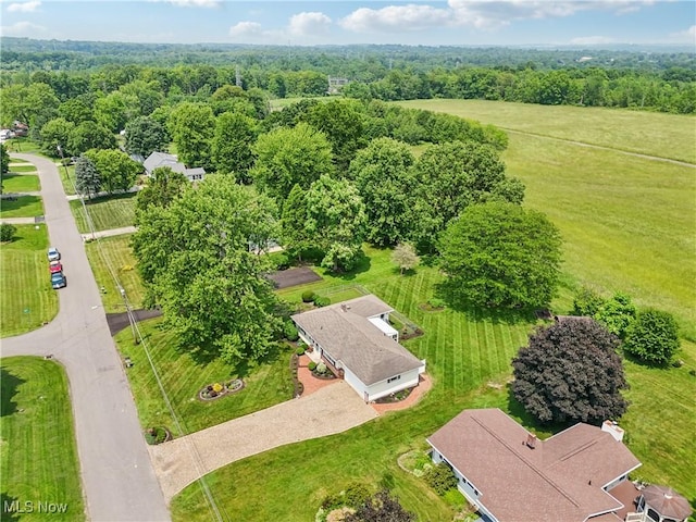 4623 Bliss Dr, Norton, OH 44203 - photo 4