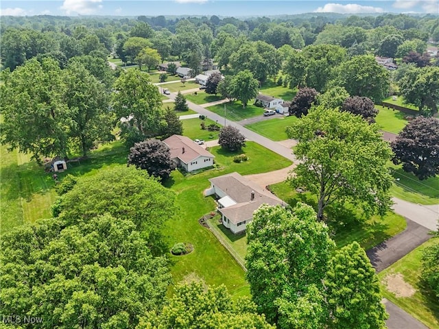 4623 Bliss Dr, Norton, OH 44203 - photo 46