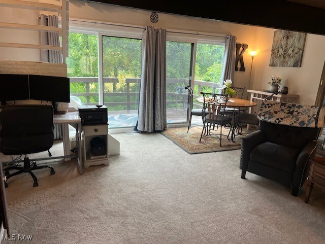2091 Penguin Ave, Akron, OH 44319 - office featuring carpet floors
