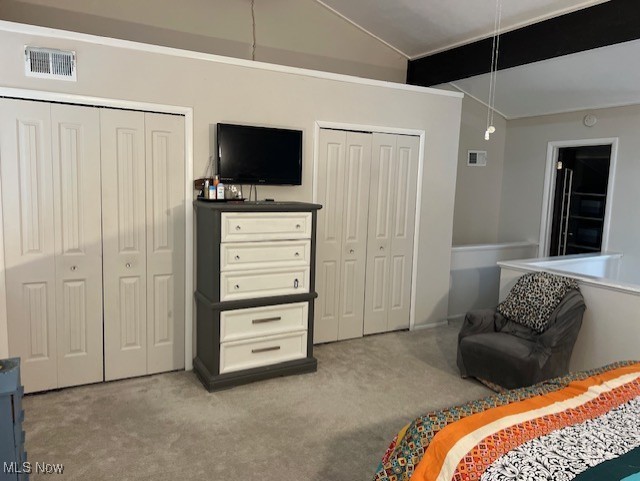 2091 Penguin Ave, Akron, OH 44319 - carpeted bedroom with vaulted ceiling and multiple closets