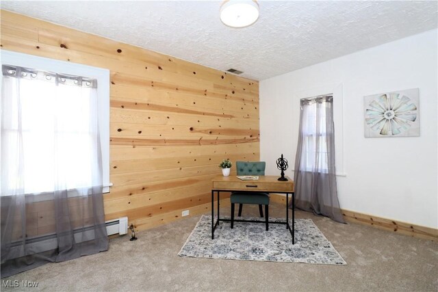 1120 Delia Ave, Akron, OH 44320 - office space with carpet, a textured ceiling, a baseboard radiator, and wooden walls