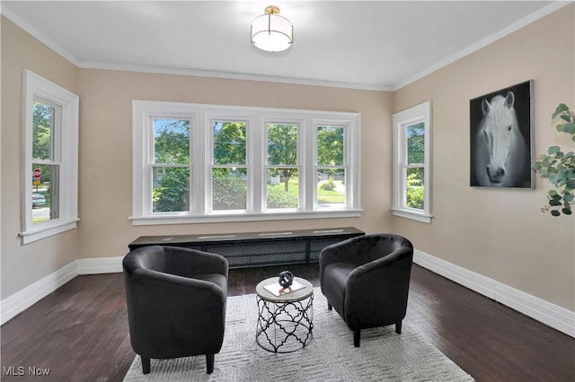 1120 Delia Ave, Akron, OH 44320 - living area with healthy amount of natural light, wood finished floors, crown molding, and radiator heating unit