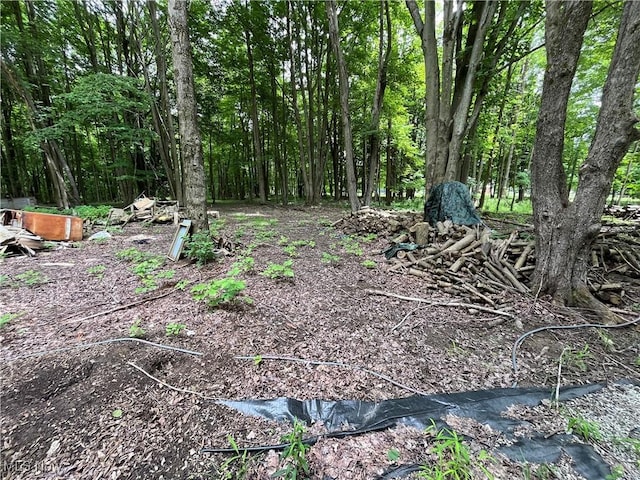 5264 Middle Rd, Conneaut, OH 44030 - photo 4