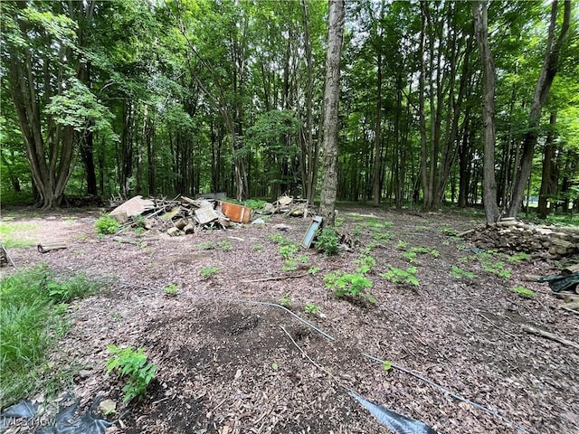 5264 Middle Rd, Conneaut, OH 44030 - photo 5
