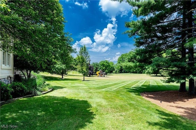 4837 Arbour Green Dr, Bath, OH 44333 - view of grassy yard with view of wooded area