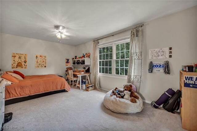 561 Willard Rd, Aurora, OH 44202 - bedroom with carpet floors and baseboards