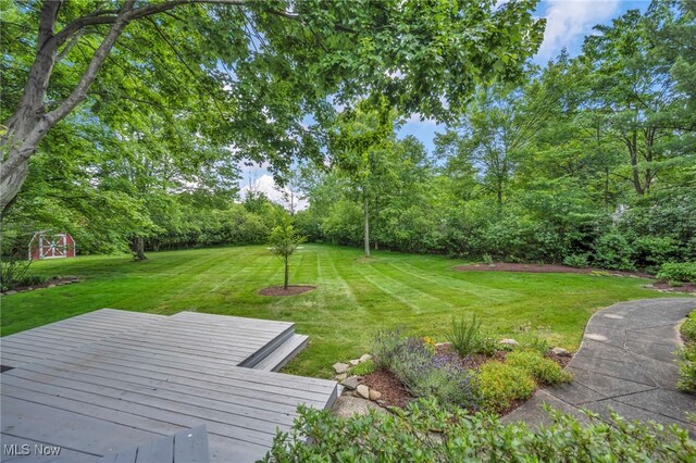 561 Willard Rd, Aurora, OH 44202 - view of grassy yard with a shed, view of scattered trees, and a wooden deck