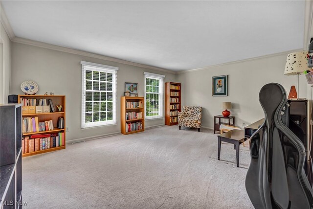 561 Willard Rd, Aurora, OH 44202 - living area featuring crown molding and carpet
