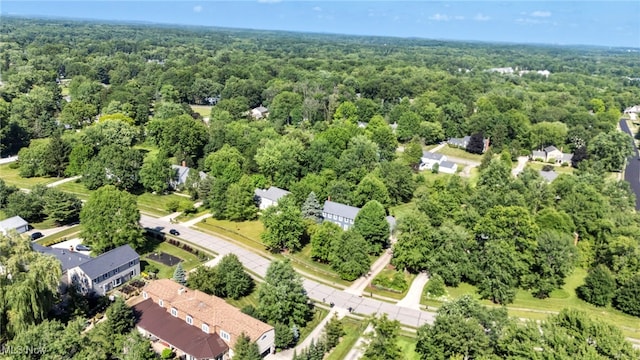 561 Willard Rd, Aurora, OH 44202 - drone / aerial view of a forest