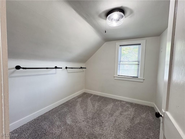 114 Hillcrest St, Ravenna, OH 44266 - additional living space with carpet floors and vaulted ceiling