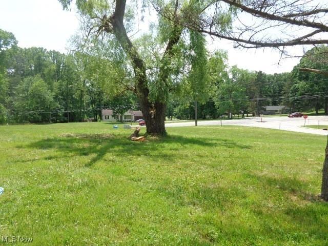17001 Alexander Rd, Walton Hills, OH 44146 - photo 2
