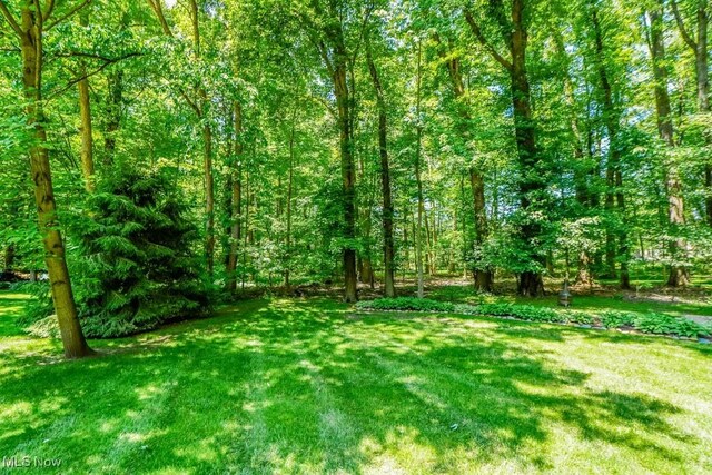 6235 Buckley Cir NW, Massillon, OH 44646 - photo 46