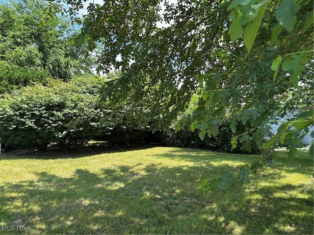 1067 Shadowrow Rd, Willoughby, OH 44094 - photo 7