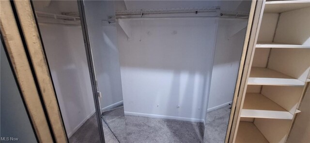 2202 Acacia Park Dr Unit 2605, Lyndhurst, OH 44124 - view of closet