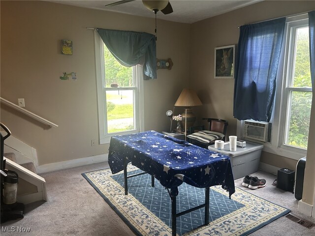 12342 Madison Rd, Madison, OH 44046 - photo 12