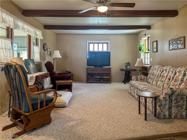 30 Bond St, Niles, OH 44446 - carpeted living area with ceiling fan and beam ceiling