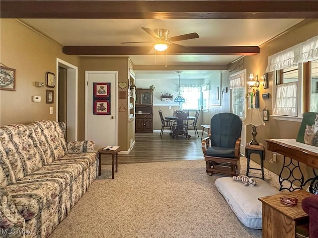 30 Bond St, Niles, OH 44446 - living room featuring a ceiling fan, carpet, and wood finished floors