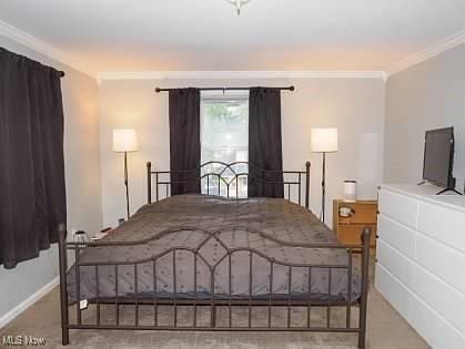 522 Lamont St, Akron, OH 44305 - bedroom with ornamental molding and carpet flooring