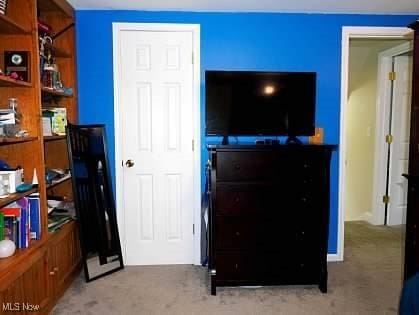 522 Lamont St, Akron, OH 44305 - bedroom with light colored carpet