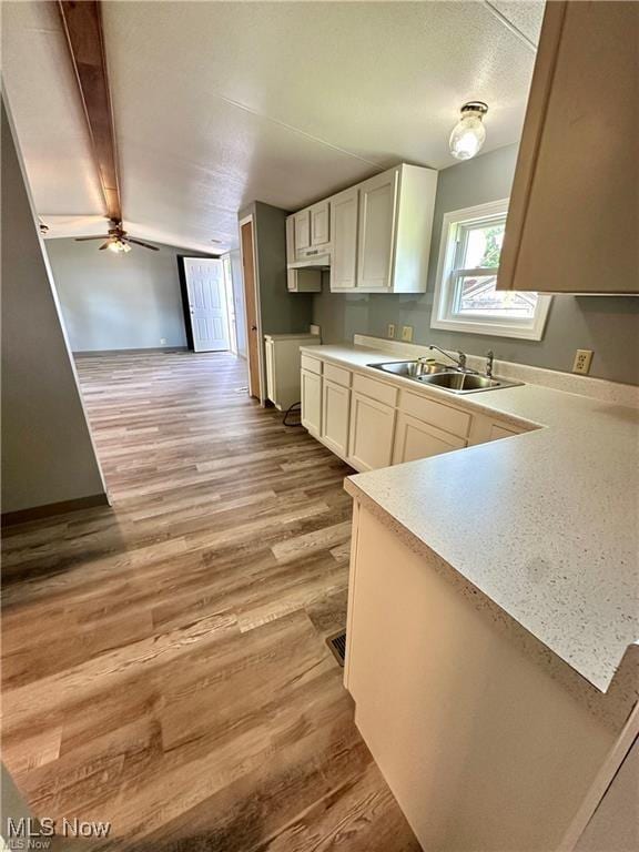 7443 Spillway Rd Unit 63, Lisbon, OH 44432 - kitchen featuring light wood-style flooring, light countertops, and white cabinetry