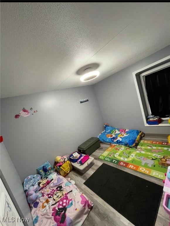 7443 Spillway Rd Unit 63, Lisbon, OH 44432 - recreation room featuring light wood finished floors and a textured ceiling