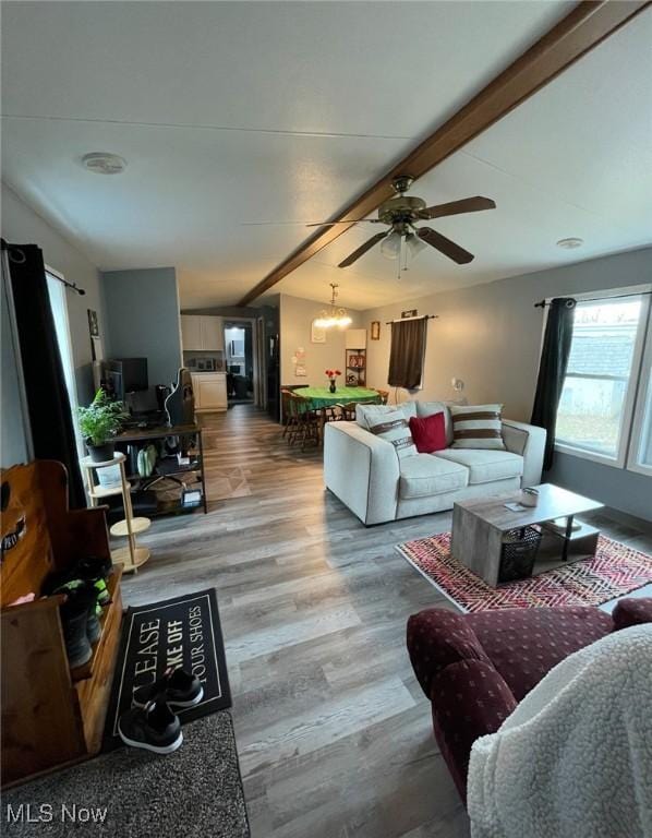 7443 Spillway Rd Unit 63, Lisbon, OH 44432 - living room with a ceiling fan, wood finished floors, and a chandelier