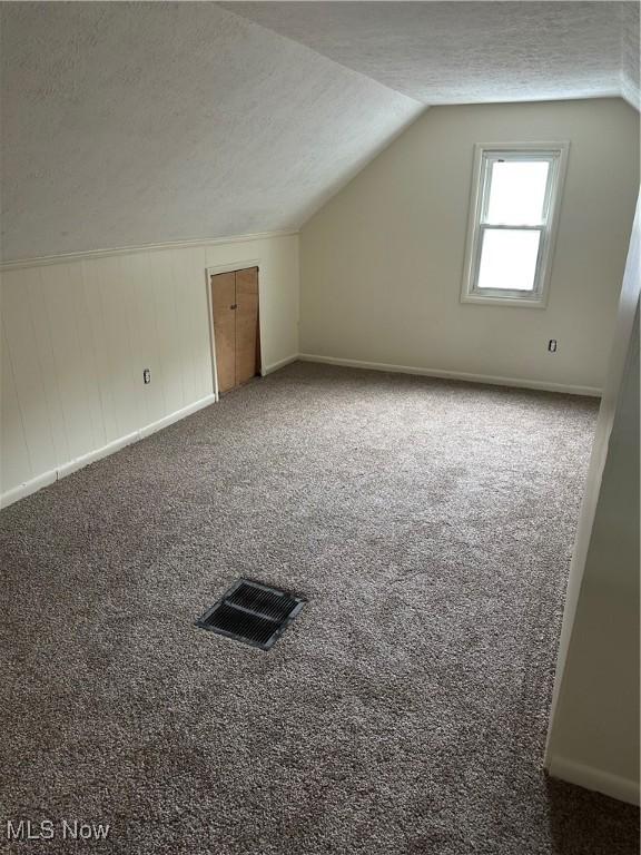 1042 Frederick Blvd, Akron, OH 44320 - bonus room featuring carpet floors, lofted ceiling, and a textured ceiling