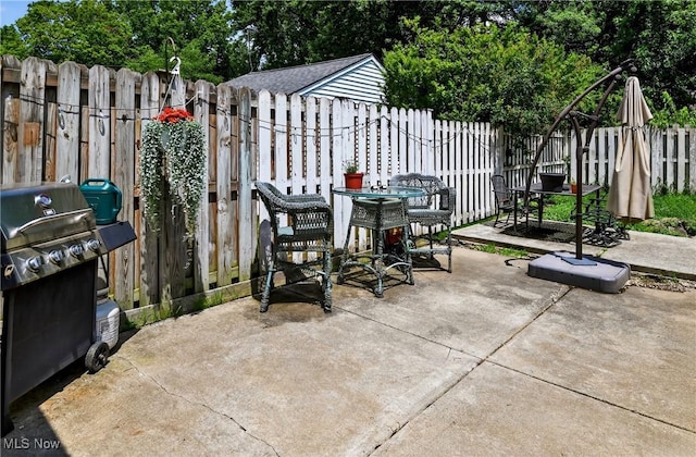 120 N Middle St, Columbiana, OH 44408 - fenced backyard featuring a patio area, grilling area, and outdoor dining space