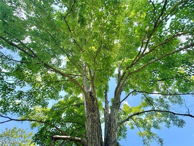 33 Knight Ln, Big Bend, WV 26136 - view of nature