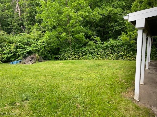 525 W 39th St, Shadyside, OH 43947 - view of grassy yard
