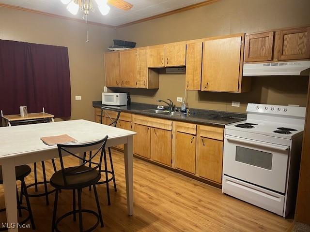 525 W 39th St, Shadyside, OH 43947 - kitchen with under cabinet range hood, white appliances, light wood-type flooring, crown molding, and dark countertops