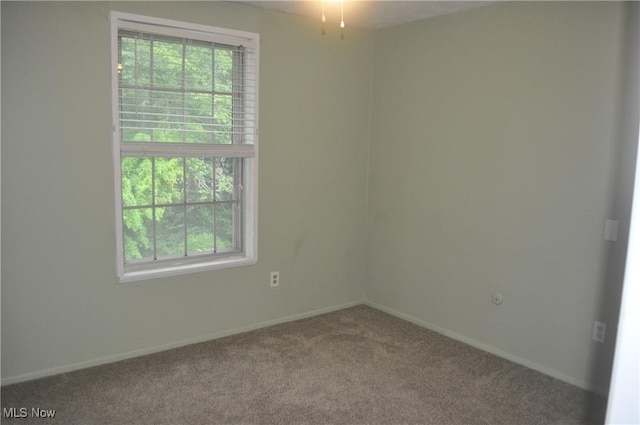 20354 Williamsburg Ct Unit 201A, Middleburg Heights, OH 44130 - photo 16