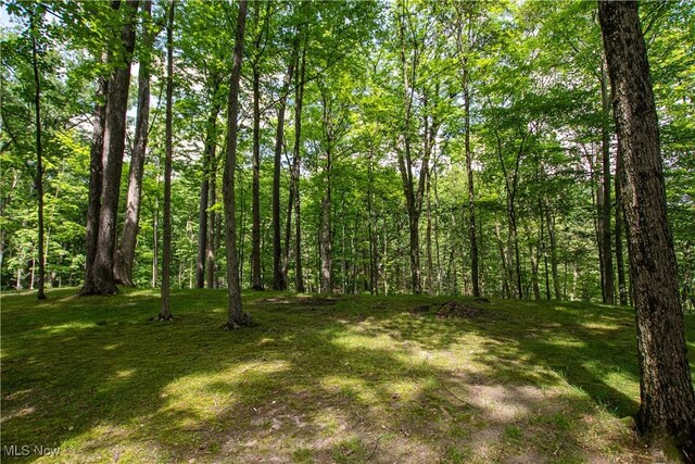 389 Bentleyville Rd, Moreland Hills, OH 44022 - view of yard featuring a forest view