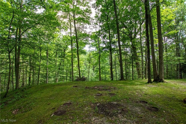 389 Bentleyville Rd, Moreland Hills, OH 44022 - view of yard with a forest view