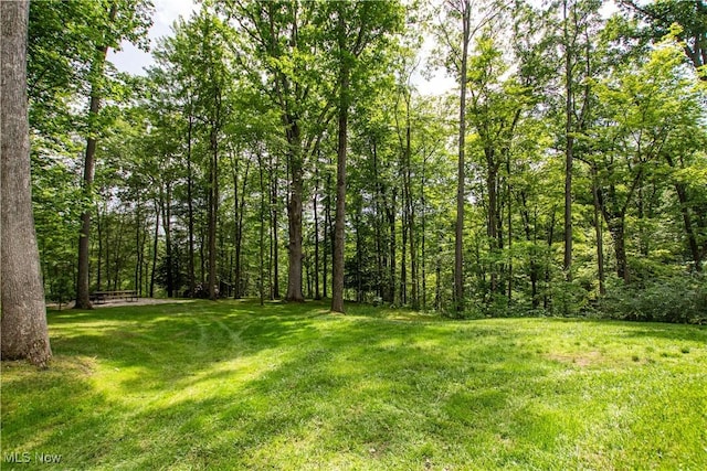 389 Bentleyville Rd, Moreland Hills, OH 44022 - view of green lawn featuring a forest view