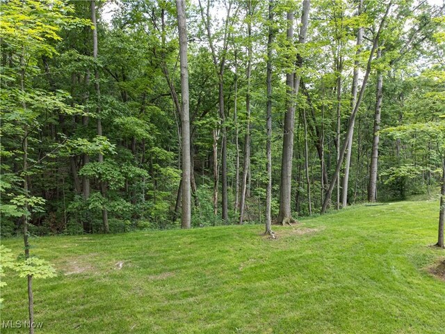 389 Bentleyville Rd, Moreland Hills, OH 44022 - view of green lawn with a view of trees