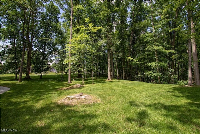 389 Bentleyville Rd, Moreland Hills, OH 44022 - view of grassy yard