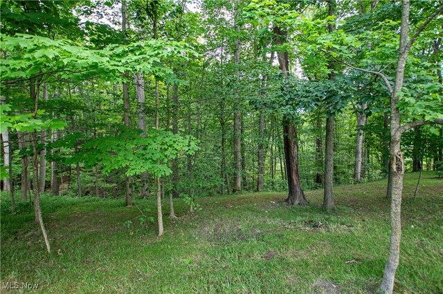 389 Bentleyville Rd, Moreland Hills, OH 44022 - view of tree filled area