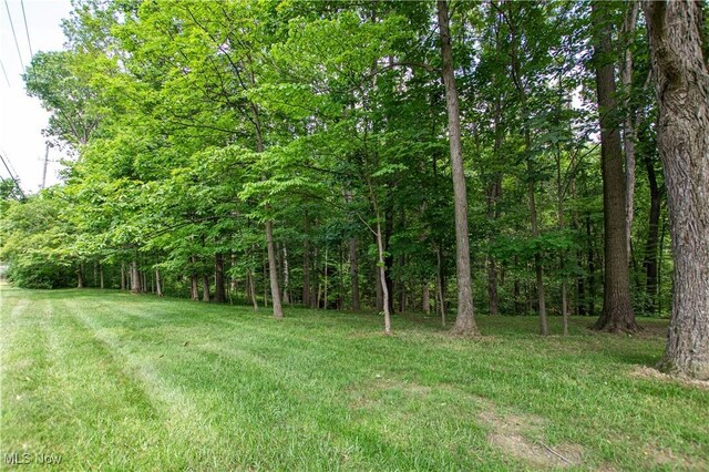 389 Bentleyville Rd, Moreland Hills, OH 44022 - view of grassy yard featuring a view of trees