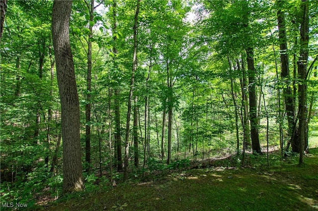 389 Bentleyville Rd, Moreland Hills, OH 44022 - view of woods