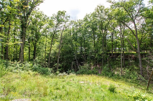 389 Bentleyville Rd, Moreland Hills, OH 44022 - view of tree filled area