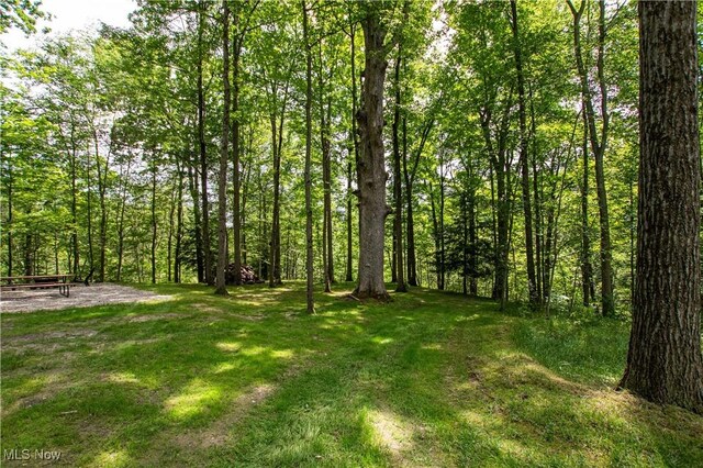 389 Bentleyville Rd, Moreland Hills, OH 44022 - view of yard with a view of trees