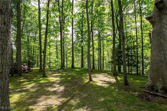 389 Bentleyville Rd, Moreland Hills, OH 44022 - view of wooded area