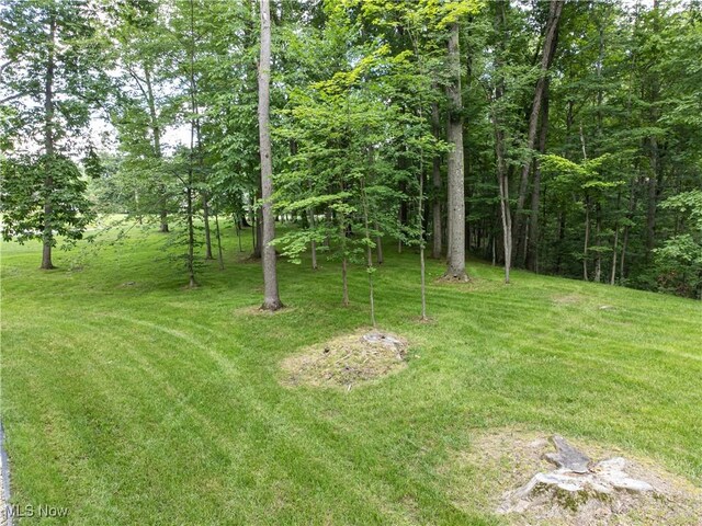 389 Bentleyville Rd, Moreland Hills, OH 44022 - view of grassy yard